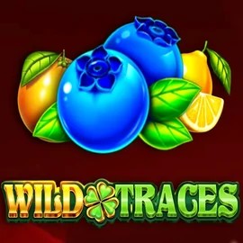 Wild Traces – slot by Amusnet Interactive, featured at kokobetnederland.com